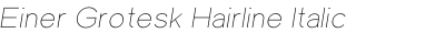 Einer Grotesk Hairline Italic